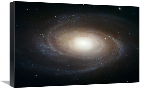 Global Gallery GCS-455993-1624-142 16 x 24 in. Spiral Galaxy M81 Art P