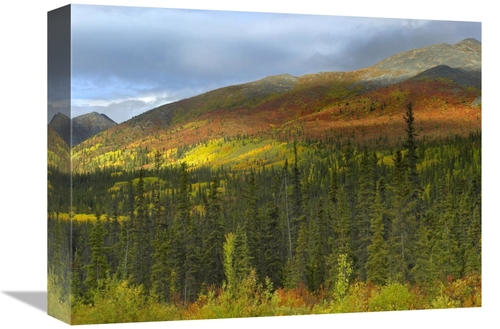 Global Gallery GCS-397128-1216-142 12 x 16 in. Boreal Forest Beneath G