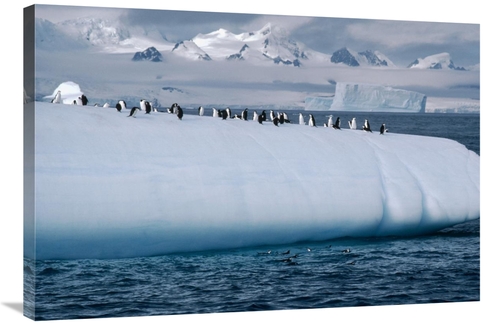 24 x 36 in. Chinstrap Penguin Group on Iceberg, Palmer Peninsula&#