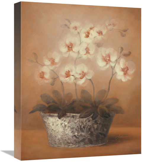 Global Gallery GCS-128583-1620-142 16 x 20 in. Gillian Art Print - Che