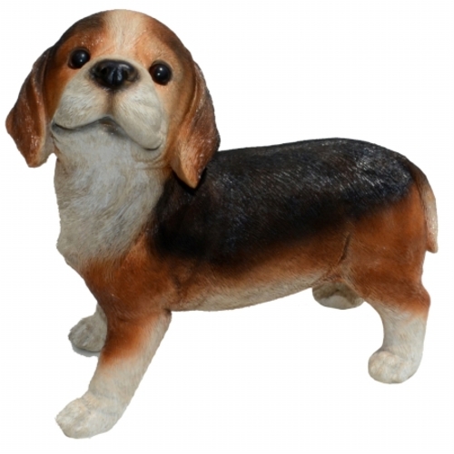 Michael Carr Designs MCD80096 Nosy Beagle Puppy, Medium