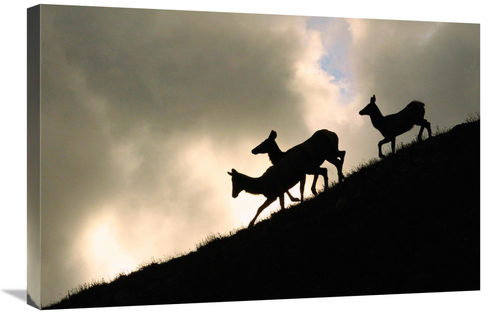 Global Gallery GCS-486519-30-142 30 in. Night Ridgeline Art Print - Vi