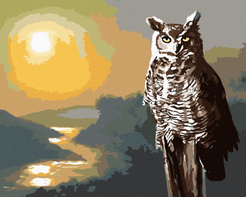 Zuty - Paint by Numbers - OWL, RIVER AND SUNSET (D. RUSTY RUST), 40x50