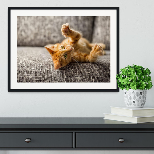 Little cat playing on the bed Framed Print