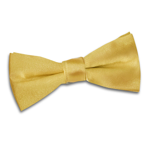 Plain Satin Pre-Tied Bow Tie - Boys - Gold