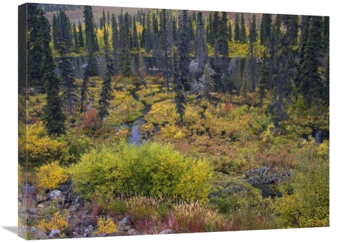 Global Gallery GCS-397036-2432-142 24 x 32 in. Beaver Pond Amid Boreal