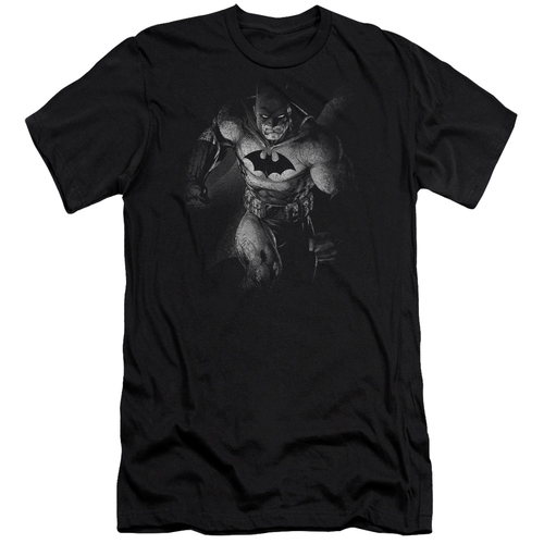 Trevco BM1924-PSF-4 Batman & Materialized Adult Cotton Premium Canvas 