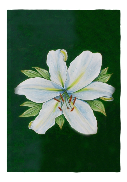 Betsy Drake FL704 Casablanca Lily Flag - 12.5 x 18 in.