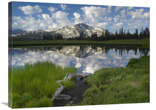 Global Gallery GCS-397077-2432-142 24 x 32 in. Mammoth Peak & Scattere