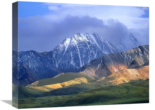 Global Gallery GCS-396462-1620-142 16 x 20 in. Alaska Range & Foothill