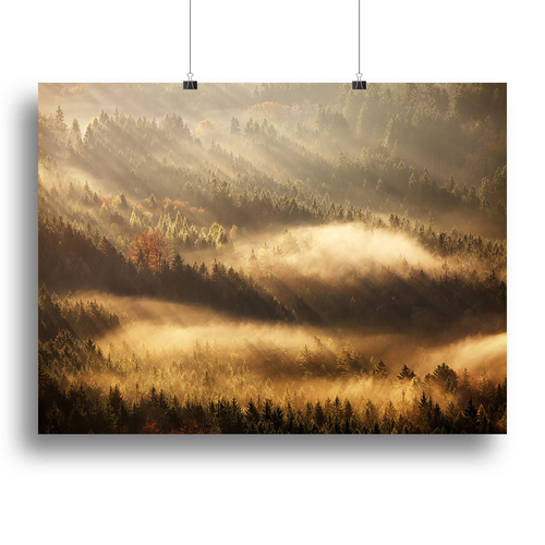 Autumn Rays Canvas Print or Poster