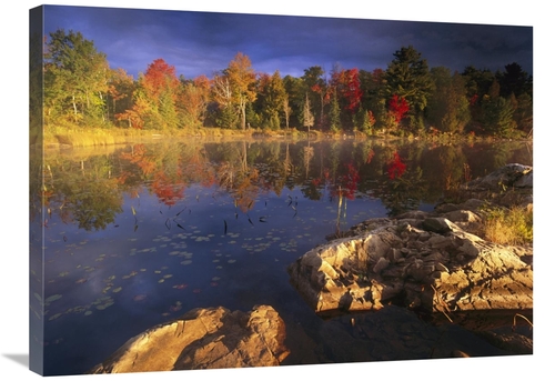 Global Gallery GCS-452020-2432-142 24 x 32 in. Lang Lake, Fall Col