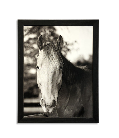 Bassett 9901-501 Shiloh Framed Wall Art - 44 x 0.75 x 34 in.