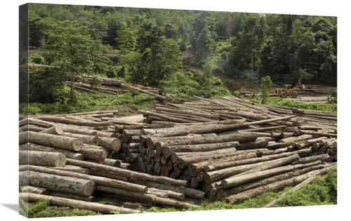 Global Gallery GCS-397652-2030-142 20 x 30 in. Logs in Logging Area&#4