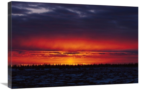 Global Gallery GCS-452497-2030-142 20 x 30 in. Sunset Over Boreal Fore