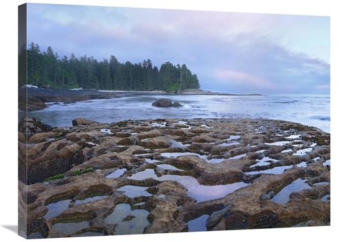 Global Gallery  24 x 32 in. Tide Pools Exposed at Low Tide, Botani