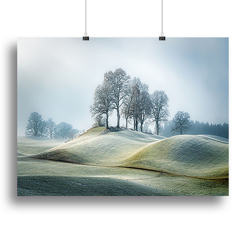 It Is Not In Tuscany Canvas Print or Poster
