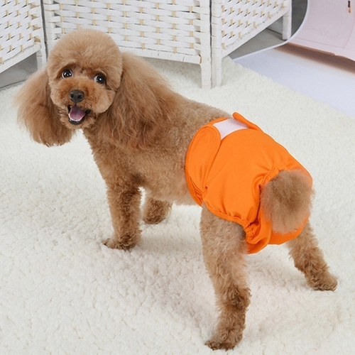 Washable Dog Physiological Pants Diaper Sanitary