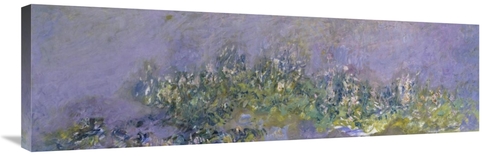 Global Gallery GCS-278659-40-142 40 in. Glycines - Wisteria Art Print 