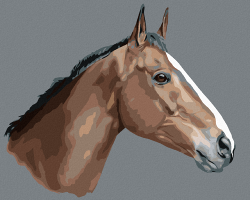 Paint by Numbers - BROWN HORSE ON GREY BACKGROUND