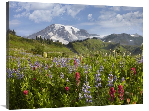 Global Gallery GCS-396888-3040-142 30 x 40 in. Paradise Meadow & Mount
