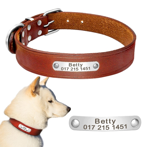 Personalized Real Leather Dog Collar for Dog