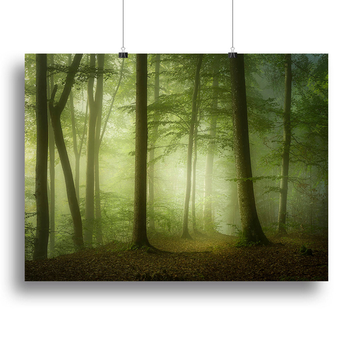 Mysterious Spring Morning Canvas Print or Poster