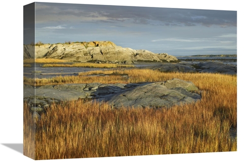 Global Gallery GCS-396337-1216-142 12 x 16 in. Tidal Marsh, Rivier