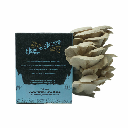 Organic Oyster Mushroom Grow Kit