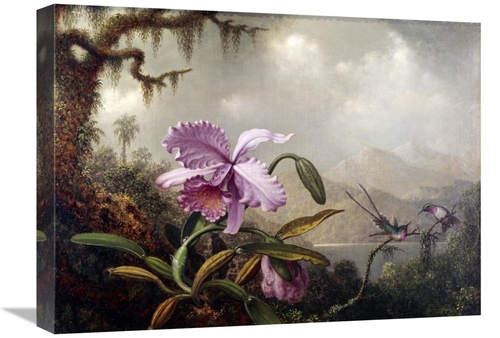 Global Gallery GCS-277940-22-142 22 in. Hummingbirds & Orchids Art Pri