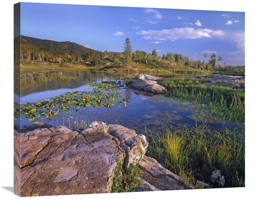 Global Gallery GCS-396127-30-142 30 in. Scout Lake, San Juan Mount