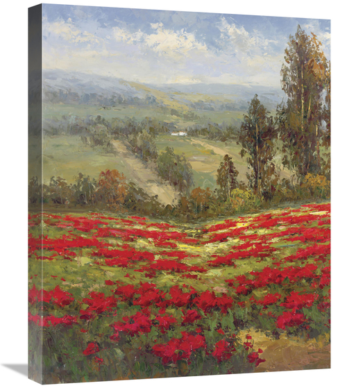 Global Gallery GCS-128434-2024-142 20 x 24 in. Poppy Vista II Art Prin