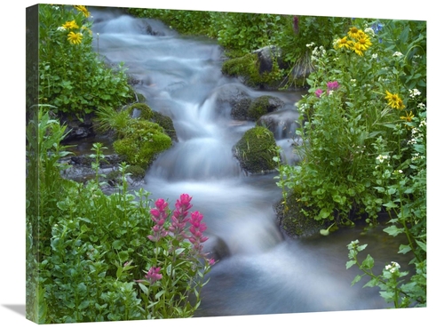 22 x 28 in. Orange Sneezeweed & Indian Paintbrush Beside Stream, Y