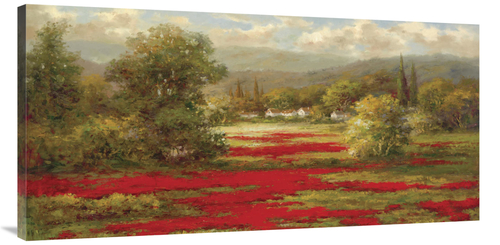 Global Gallery GCS-128426-2448-142 24 x 48 in. Poppy VIllage Art Print