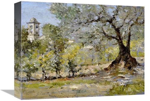 Global Gallery GCS-267845-16-142 16 in. Olive Trees in Florence Art Pr