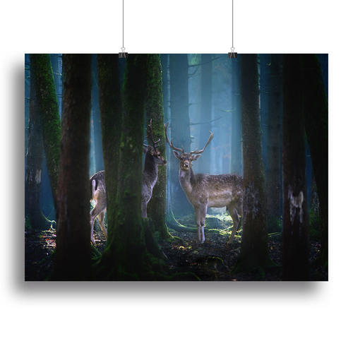 Deers In The Forest Canvas Print or Poster