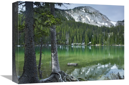 Global Gallery GCS-452242-1216-142 12 x 16 in. Pine Trees on the Edge 