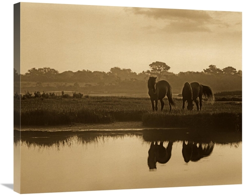 Global Gallery GCS-395923-30-142 30 in. Wild Horse Pair Grazing at Ass