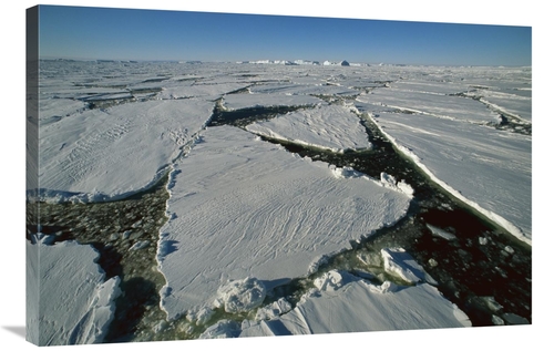 Global Gallery GCS-453462-2436-142 24 x 36 in. Heavy Pack Ice, Ter