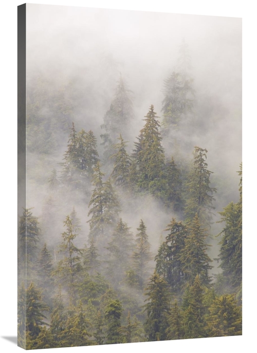 Global Gallery GCS-395407-2436-142 24 x 36 in. Mist in Tongass Nationa