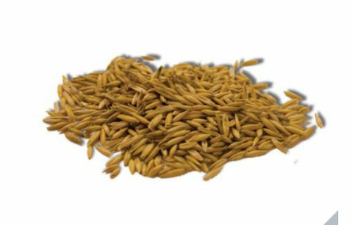 Easy Grow Oat Seed - 4 oz.