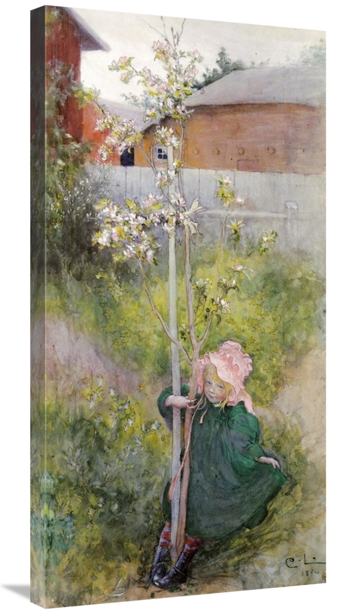 Global Gallery GCS-268227-36-142 36 in. Appleblossom Art Print - Carl 