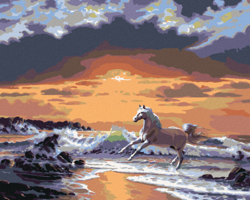 Zuty - Paint by Numbers - WHITE HORSE ON THE BEACH AND THE SUNSET