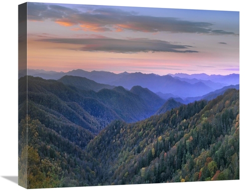 Global Gallery GCS-397171-22-142 22 in. Deciduous Forest Covering Moun