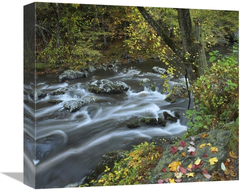 Global Gallery GCS-396550-16-142 16 in. Little River, Great Smoky 