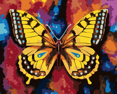 Paint by Numbers - BUTTERFLY ON A COLOURFUL BACKGROUND