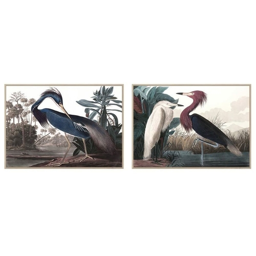 Painting DKD Home Decor 123 x 4,5 x 83 cm 83 x 4,5 x 123 cm Bird
