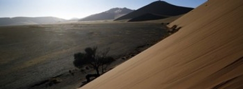 Sand dunes in a desert  Sossusvlei  Namib Desert  Namibia Poster Print