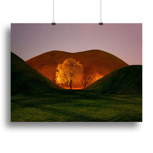 Magnolia Canvas Print or Poster