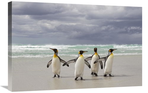 Global Gallery GCS-395358-2030-142 20 x 30 in. King Penguin Group Retu